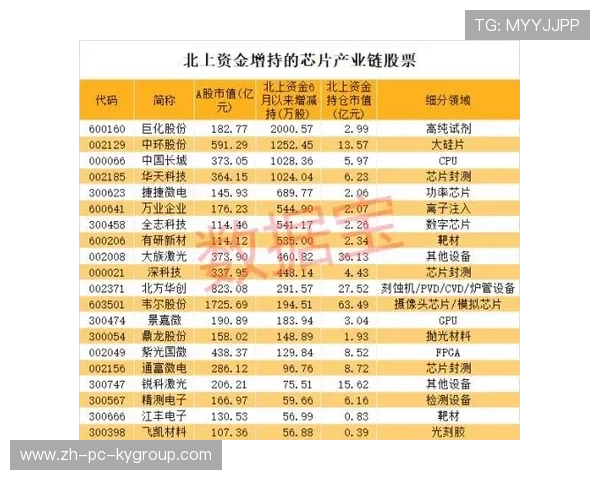 存储巨头引来资本方关注，参股名单出炉，存储制造上市龙头股